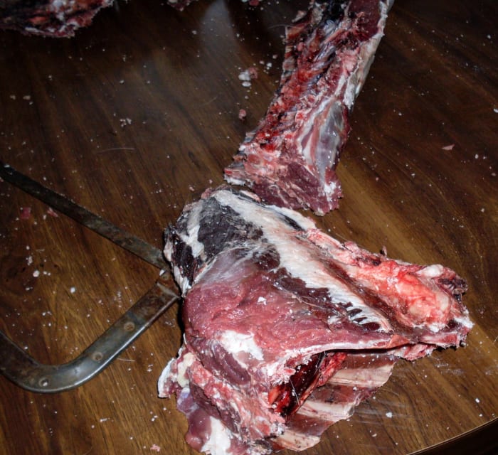 Neck is for dog. Note that the neck is turned at a peculiar angle in this photo! Cranial end is facing spine section.