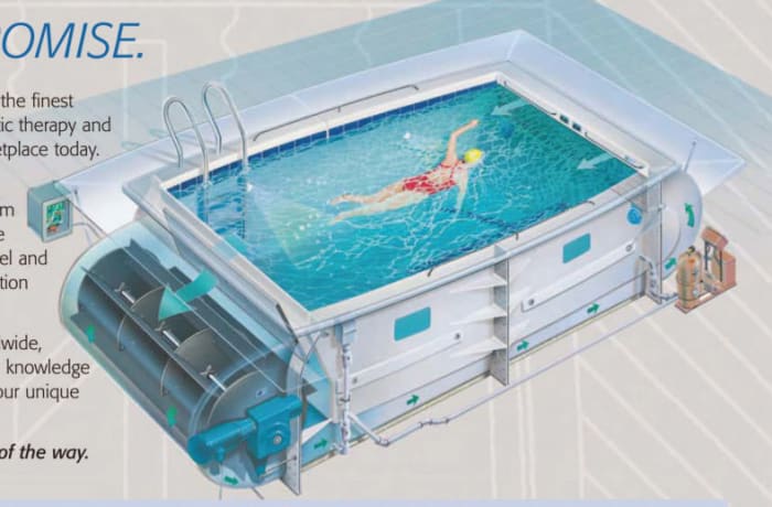 Screenshot from SwimEx.com showing their patented paddle-wheel http://www.swimex.com/pdf/Residential_Buyers_Guide.pdf