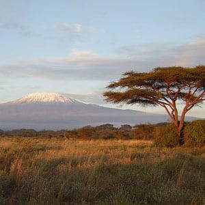 Kenyan game reserve with Mt Kilamanjaro (in Tanzania) in the distance. Kilamanjaro is 3 degrees south of the equator.