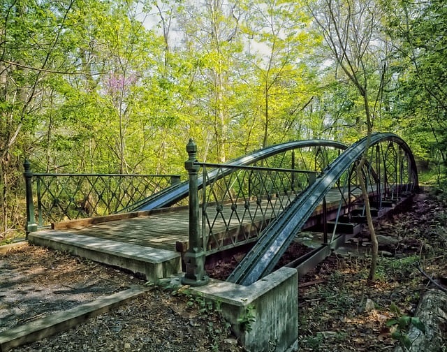 Imagine coming across this abandoned bridge on a deserted road as you walk through the woods in Maryland.