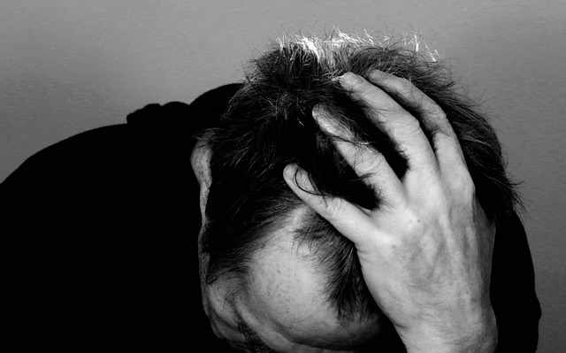 Bed bugs cause anxiety, tension, and a deep stress that has the potential to trigger depression.