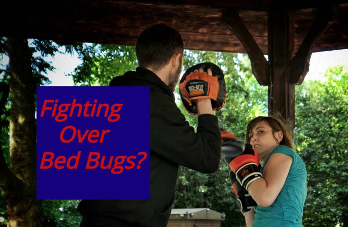 Bed bug related stress changes the way partners support each other.