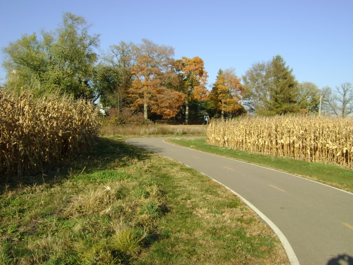 "We could not have gotten to where we are without coming the way we came... you simply have to travel the road" S. Covey