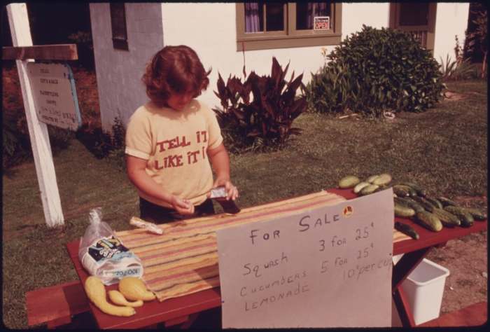 Selling Lemonade