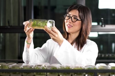Follow these rules to stay safe in any laboratory. Better be safe than sorry!
