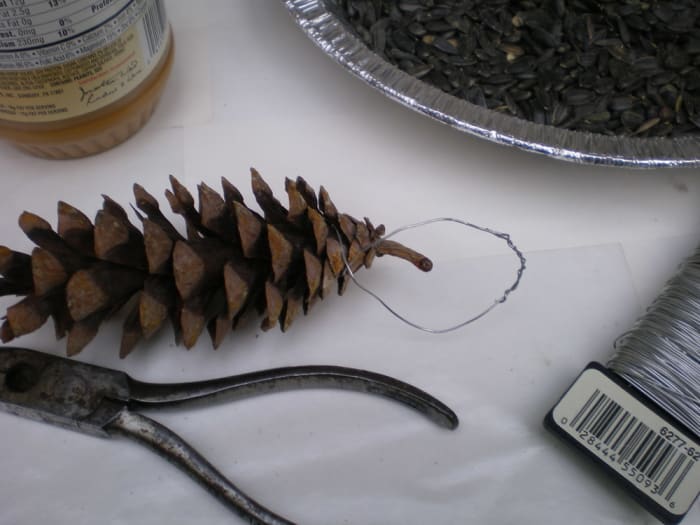 Wrap wire around top scales of pine cone and secure a hanging loop by twisting wire ends together.