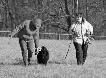 AKC Tracking Judge, Terry McGauley, praises 16 week-old Dani as his thrilled owner, Robin Love looks on. Dani completed a 220 yard track.