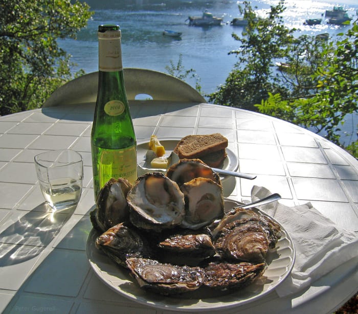 Belon oysters at Belon river, France, octobre 2005