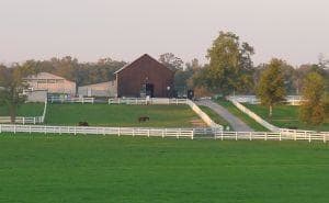 A local horse farm. William Shatner's Belle Reve Saddlebred is another farm near Nicholasville, in Versailles.