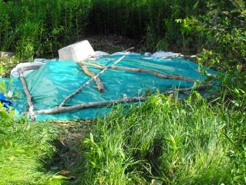 False Bamboo was piled under a tarp to rot and not allow it to regrow. Each crop has to be cut down and rotted on the site it grows on to avoid new areas of growth going rogue!