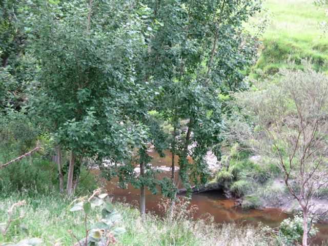 This is the river beside my house that causes me so much heart ache. It is beautiful when not in flood. Photo Credit - Elsie Hagley