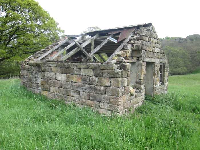 As I strode along the old trackbed of the Whitby & Pickering Railway, abandoned in the early years of the 20th Century, I crossed a small pedestrian/bridle bridge and took this and the following pictures for a project.