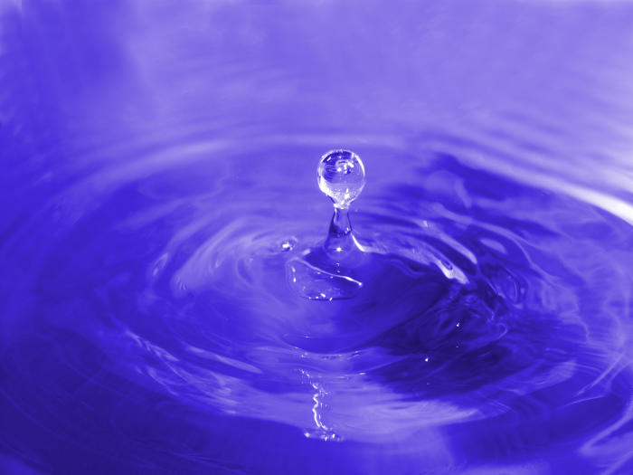 DRIPs or dividend re-investment programs are an important part of an investment portfolio containing dividend-paying securities.