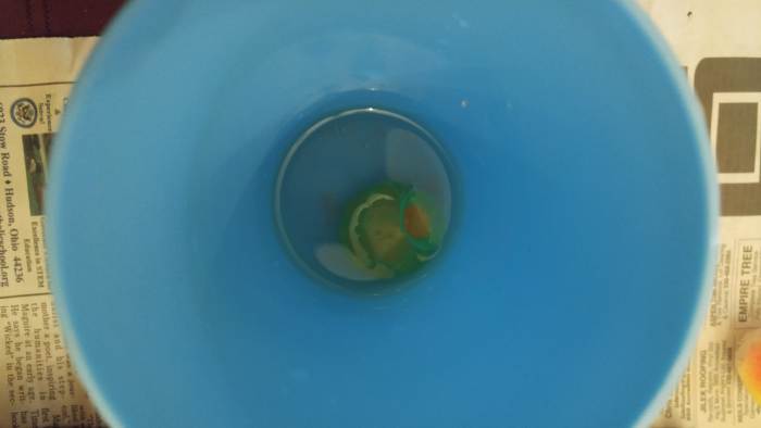 Place the mold into the water. Cover all the way to the top of the mold. 5-10 minutes. until it gets all wet.