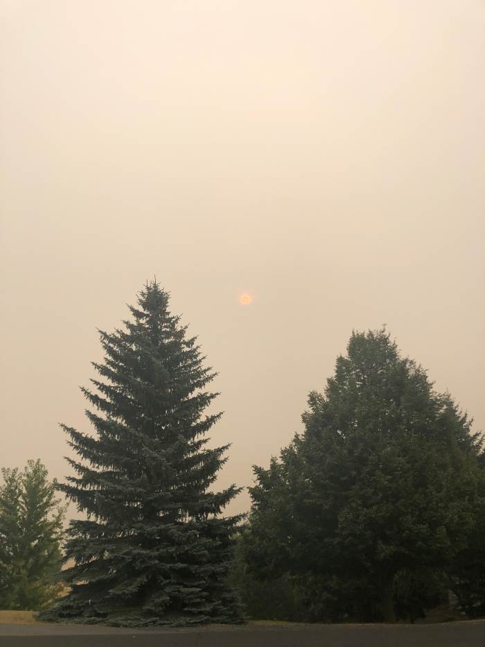 The sun managed to peek its way through the smoke-filled sky today for the first time in recent memory...
