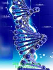 new research finds a common ground as the various genes involved in autism appear to influence special processes in the brain.