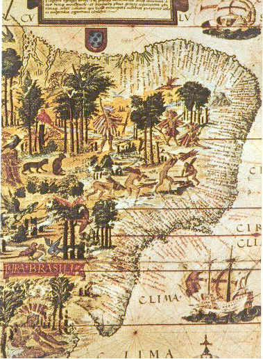 Detail of Terra Brasilis map, from 1519, with Brazilwood represented along the coast of the Atlantic Forest