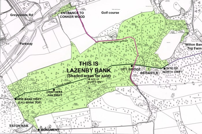 The area up to the Nab bought in March, 2014 by FOEH shows the 'SS' Castle site (centre right) in relation to the Nab (bottom left corner)