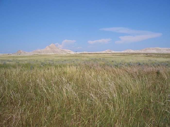 Prairies USA The National Grasslands of America's Heartland HubPages