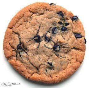 While cookies are still warm use a toothpick to drag out the spiders legs from the melted chocolate chips. Guaranteed to scare a few kids with these cookies!