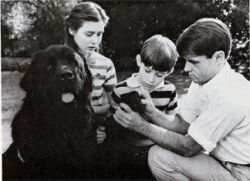 In this scene, Bobby's children (played by Shannon Douherty, left and Chris Herbert) are playing with Brumis (Buster) when he gets a sticker in his paw. They call for their father (Brad davies), very concerned, and he removes it. This photo was publi
