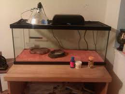 The perfect set up for box/tortoise. 20 Gallon Tank. Light on one end (put the water/food on the opposite end so it doesn't evaporate/wilt) add some décor and an aquarium scene on the back of the tank if you want to add more depth