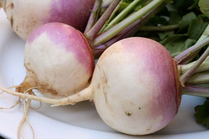 some-natural-home-remedies-for-cough