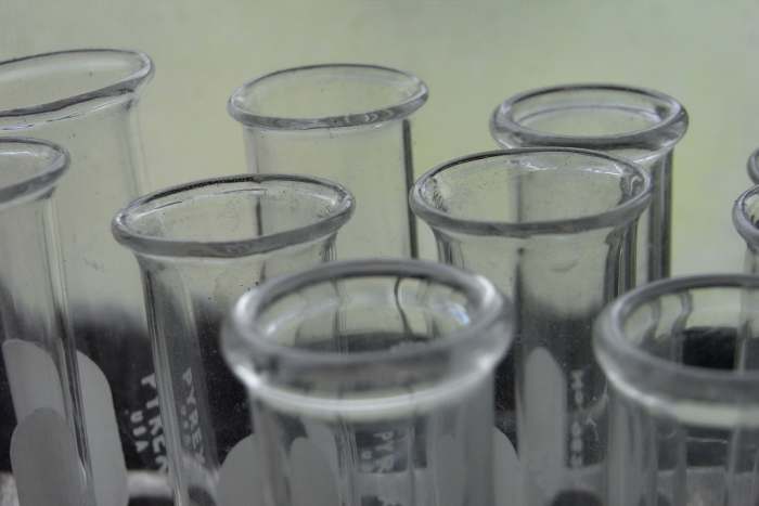 Biology is more than studying in a lab. (Even though lab work can actually be a lot of fun!)