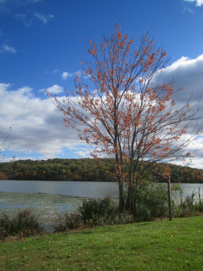 The lake I live by in Port Ewen, NY. Unfortunately, the day I went looking for my egg was not so nice!