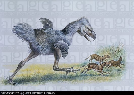 A phorusrhacos leaps out of cover to hunt the small horses while being watched by Half Tooth.