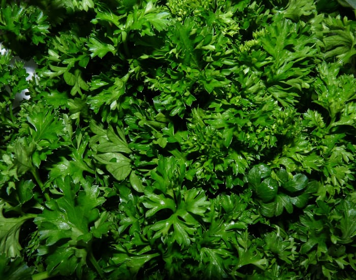 Try experimenting with different tastes. Finely chopped parsley, chives, basil or cilantro taste great with this recipe. You can also use dried oregano or dried chives.