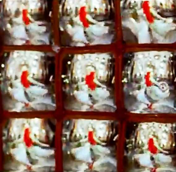 Madhubala in Pyar kiya to darna kya....: An exceptional picturisation that fuses beauty, dancing, music and acting with history and architecture to a create a piece of art.