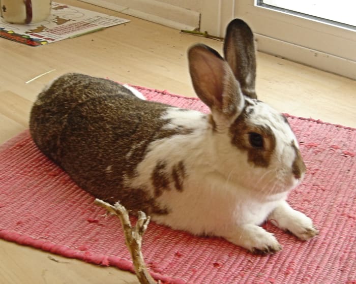 Select clear digital photos. This might be better without the red mat, but it does add interest.