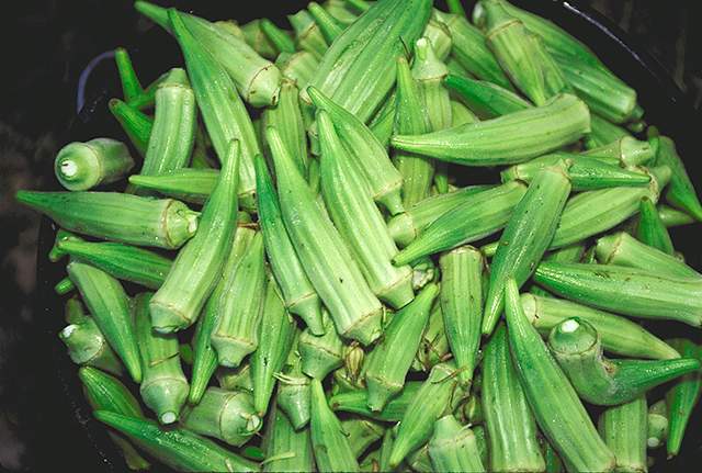 facts-health-and-nutritional-benefits-of-okra