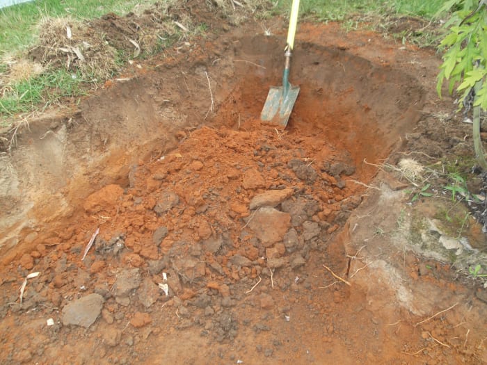 We have begun digging into a gentle slope at the back of our house, It provides us with our building materials (soil and clay) and we are simultaneously creating a courtyard. lol.