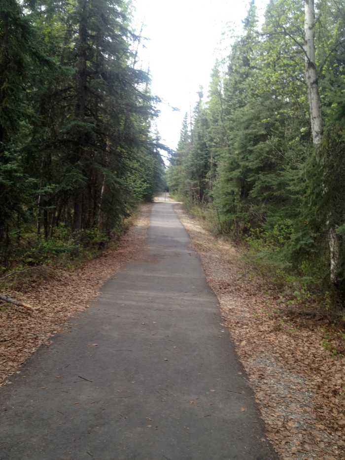 Part of the trail I ran on at Eielson AFB. Nice trail built for the service men and their families to enjoy a stroll or a good workout.