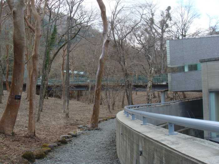 Perspective of the access walkway, and the contention wall that drives down to host most of the building.