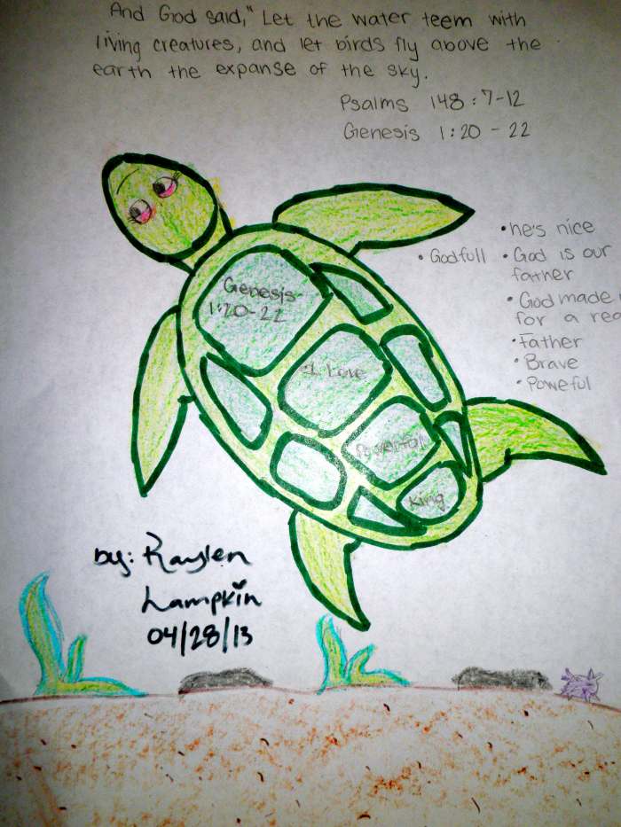 A sea turtle drawing art lesson for Sunday school ages 4-15. Lesson on "Who is God?" and how to be a good citizen, earth stewardship and climate change.
