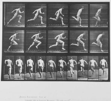 Humans are the only apes capable of standing, walking and running on two legs. It's thought by some that wading through flooded forests promoted the evolution of bipedalism in our ancestors.