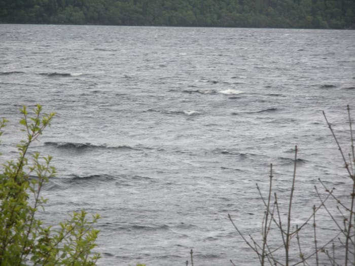 Ripples and waves in the water make the Loch Ness Monster adventure even more exciting.