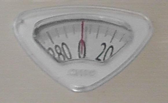 Before eliminating soy, oats, and wheat from my diet, the bathroom scale was one of the most dreaded gadgets in my household.