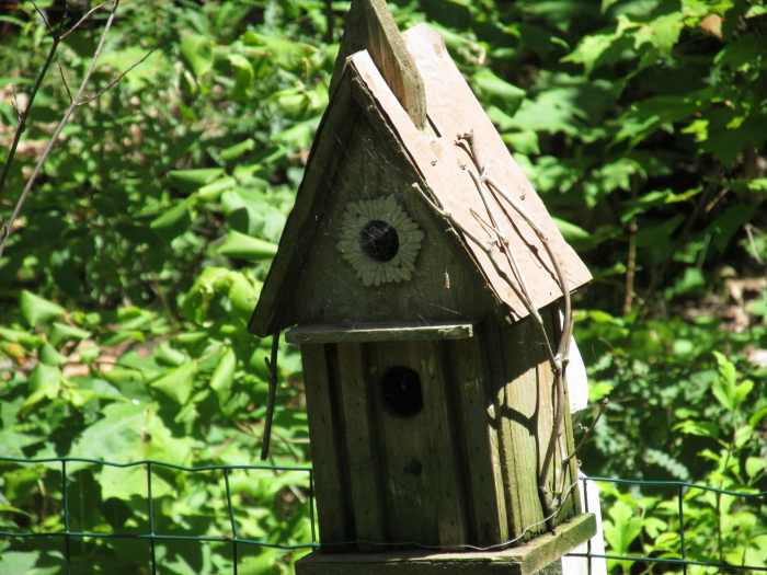 Bird House with spider web across entrance hole, indicating this structure is not being used right now.