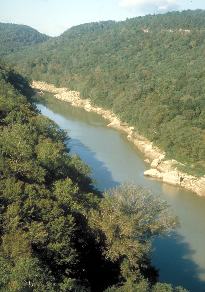 The rugged terrain of the Cumberland Plateau made it nearly impossible for traditional armies to engage in warfare.