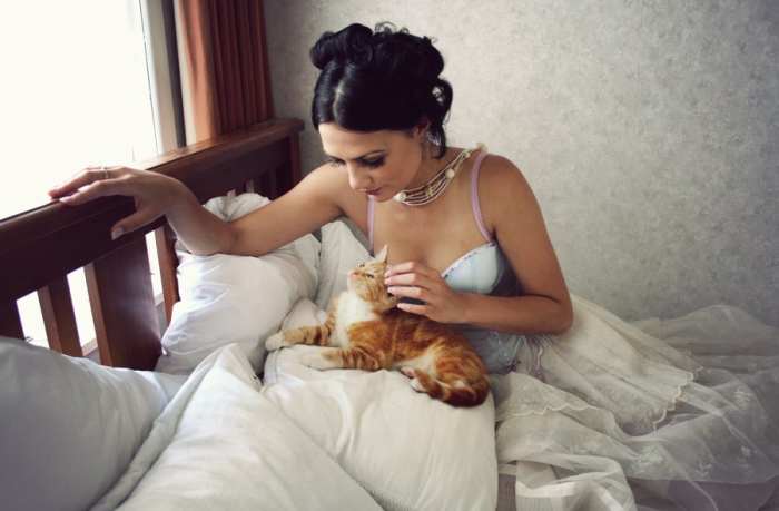 Cats are a great comfort to many people, even known to lower blood pressure.