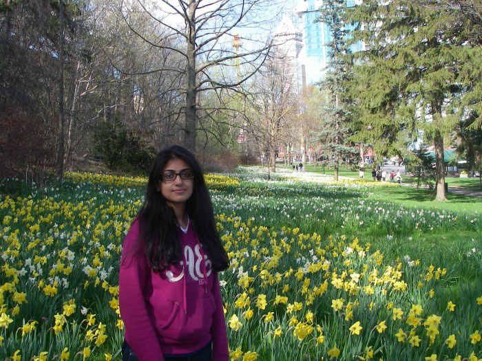 Early spring flowers in the sprawling gardens with visitors walking on the pedestrian path in the far background.
