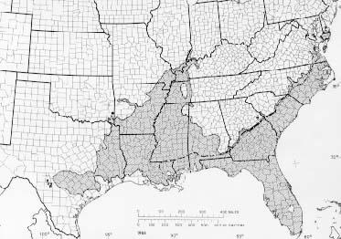 The native range of the Bald Cypress extends through southern and eastern parts of the United States. Some maps extend its range to include areas of the heartland and mid-atlantic states as well. It can be found throughout the U.S. in landscaping.