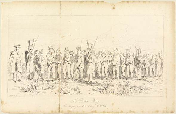 A chain gang convicts going to work nr. Sidney N.S. Wales