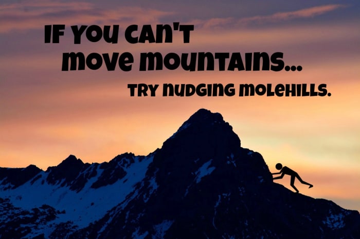 If you can't move mountains, maybe you can nudge molehills.