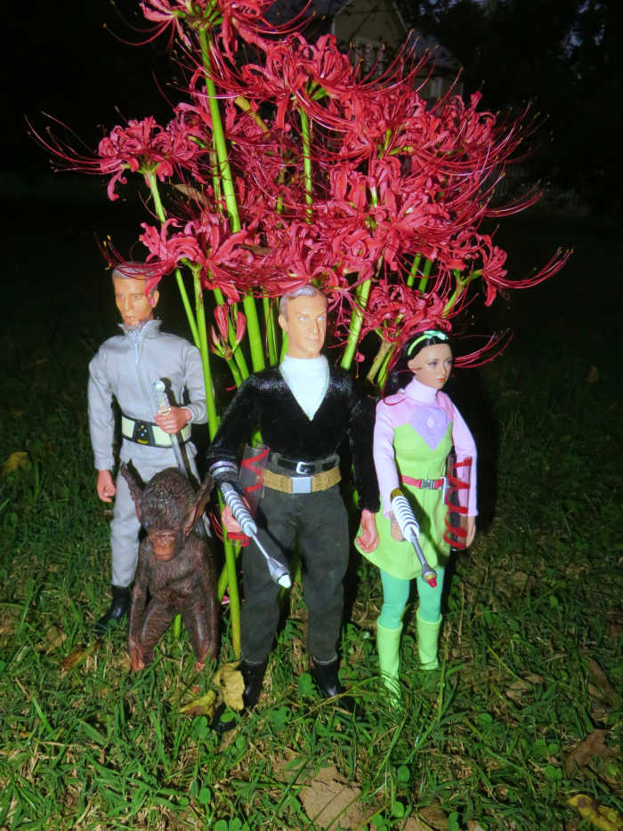 Lost in Space Doctor Smith and The Keeper, 1:6 scale 12 inch figure by Sci-Fi Metropolis, and Lost in Space, Penny Robinson and Bloop with 3rd season outfit by Executive Replicas. Wish I had a good movie maker, these Action Figures are very realistic