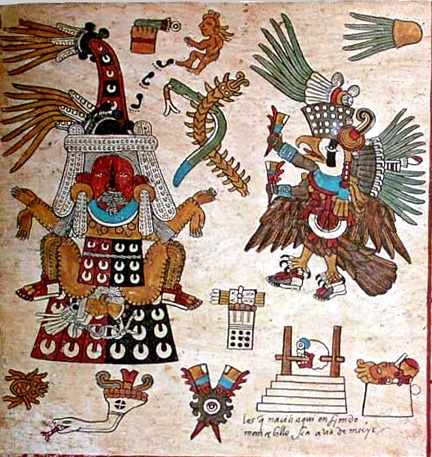 Smaller priest's costume from a section of Borbonicus Codice could be considered representative of a Crested Caracara.